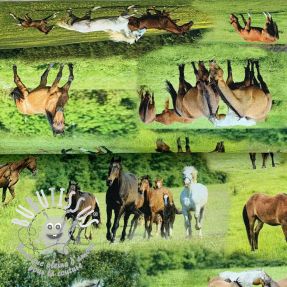 Tissu déco Horses in Meadow digital print