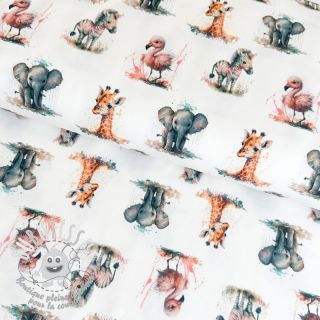 Jersey Safari babies white digital print