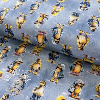 Jersey Raincoat ducklins grey digital print