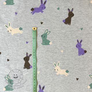 Jersey Bunnies light grey melange