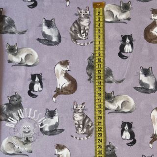 Tissu coton Cats lavender digital print