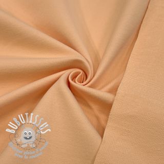 Sweat PREMIUM apricot ice