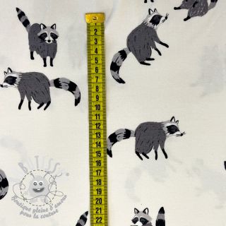 Jersey Raccoon digital print